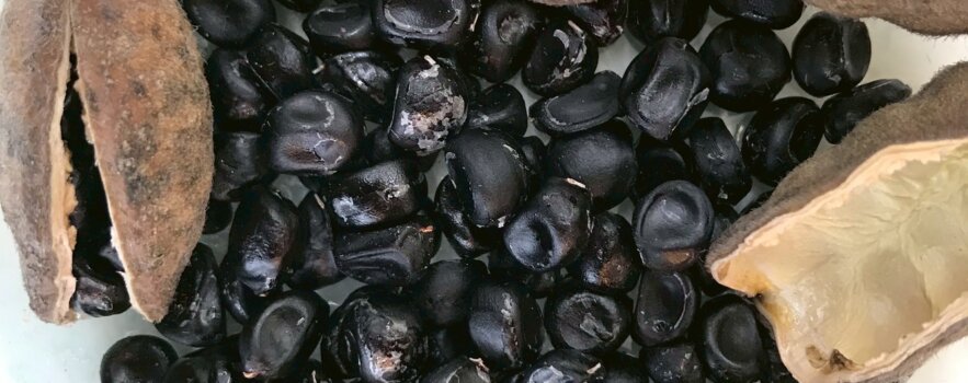 33歳・女性。妊活一年と鼻と咽の痛み