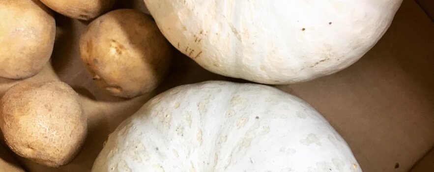 おめでた（糖尿病）…35歳の女性。