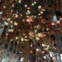 3３歳女性　2人目を考えて