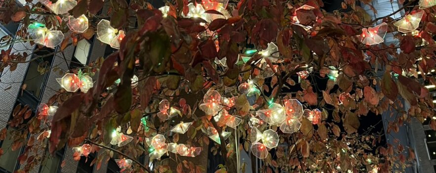 33歳女性　2人目を考えて