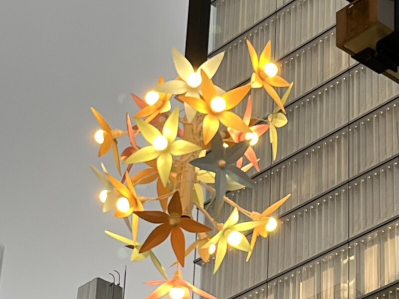 毒素を出して、無事ご懐妊・・・空っぽ健康法（最終回）