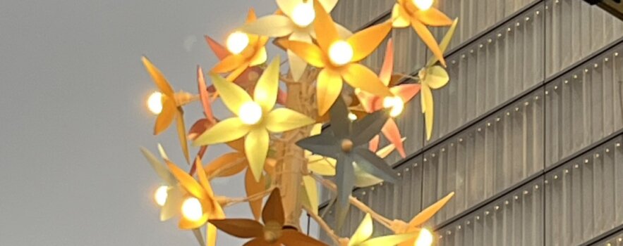 毒素を出して、無事ご懐妊・・・空っぽ健康法（最終回）