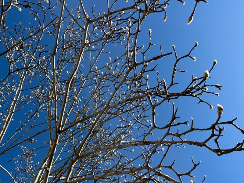 冷え性の原因と漢方薬