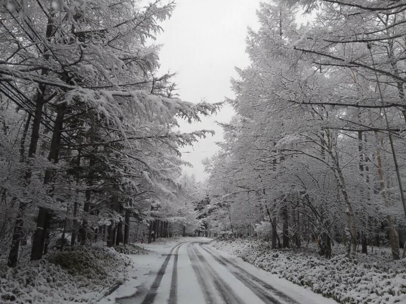 冷えの原因は食べ物から作られる　