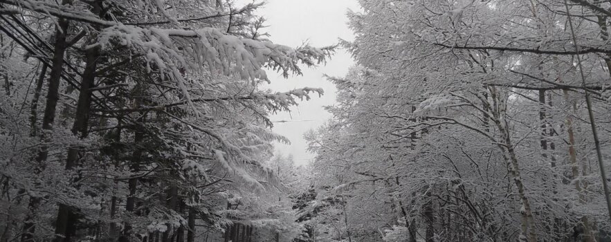 冷えの原因は食べ物から作られる　