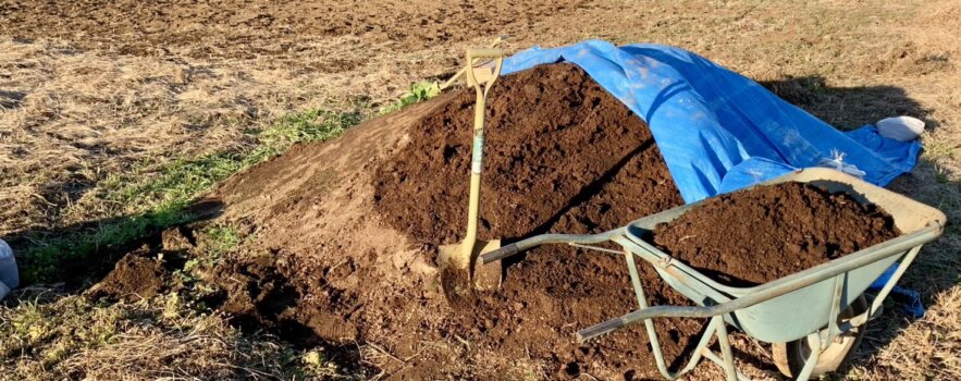 冷えの原因と漢方薬