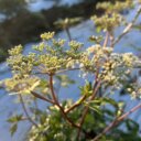 適切な水分摂取方法