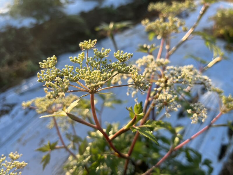 適切な水分摂取方法