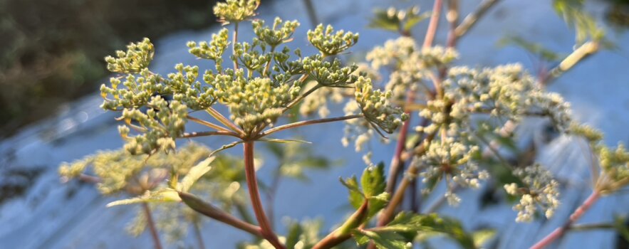 適切な水分摂取方法