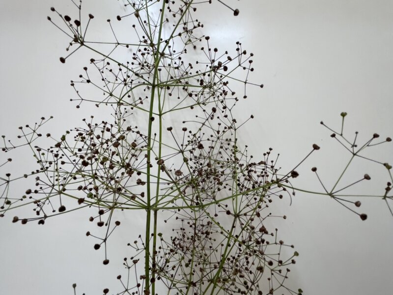 ストレスで冷えているタイプ