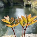 春の不調で、赤ちゃんが「できにくい」原因が見つかる