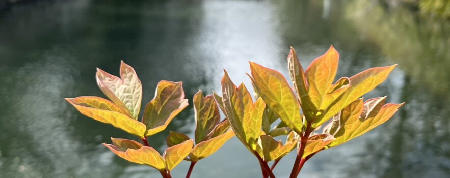 春の不調で、赤ちゃんが「できにくい」原因が見つかる