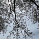 妊娠しました!/処方の実例